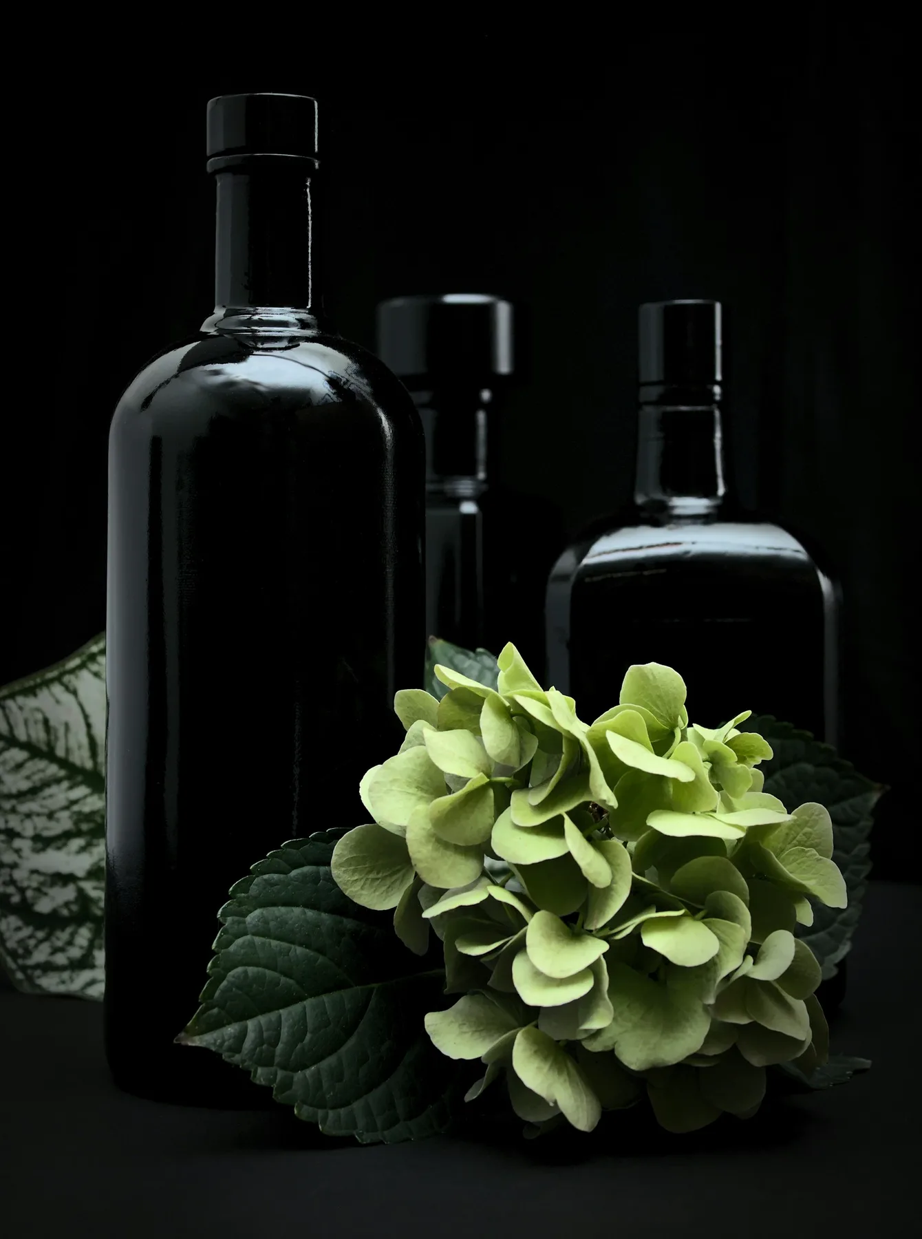 Black glass bottles arranged with a green hydrangea.